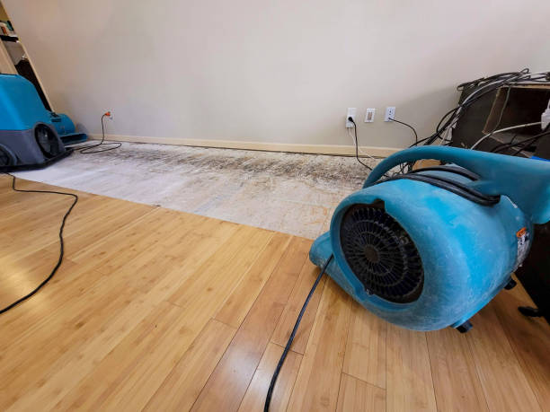 Professional Sewage Cleanup technician working in Sullivan, NH